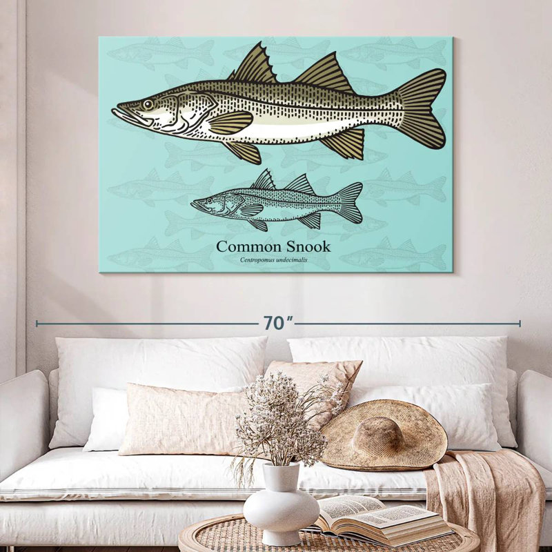 Brampt Common Snook, 34" H x 51" W