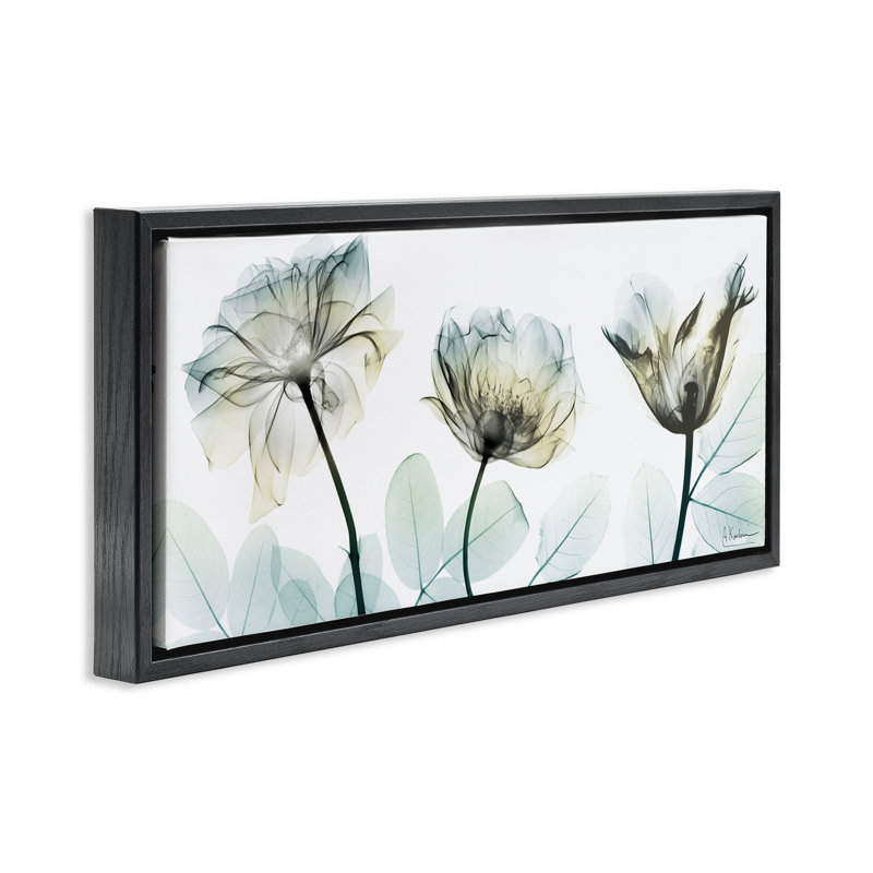 Cadre flottant Jewels Of Passion, design par Albert Koetsier, H 14 po x l 31 po, Cadre flottant noir de jais