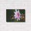«Beautiful Flora» par Gordon Semmens-1049243981