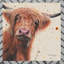 BREE MERRYN Farmhouse Wall Decor on Ceramic