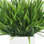 Herbe disposée en pot de fleurs carré