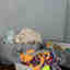 Photos des clients 1 de 5