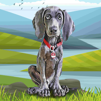 «Baby Weimaraner», impression sur toile tendue