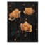 Midnight Vintage Rose Flowers Elegance III - décoration murale en bois de roses - sur bois de pin naturel-1093927502