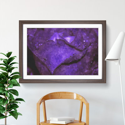 Purple Rose Flower Vol.4 - Framed Print