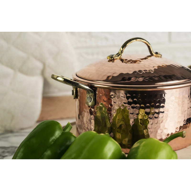 ALFIQ Stock Pot, 7.7 (2750 ml) Inches