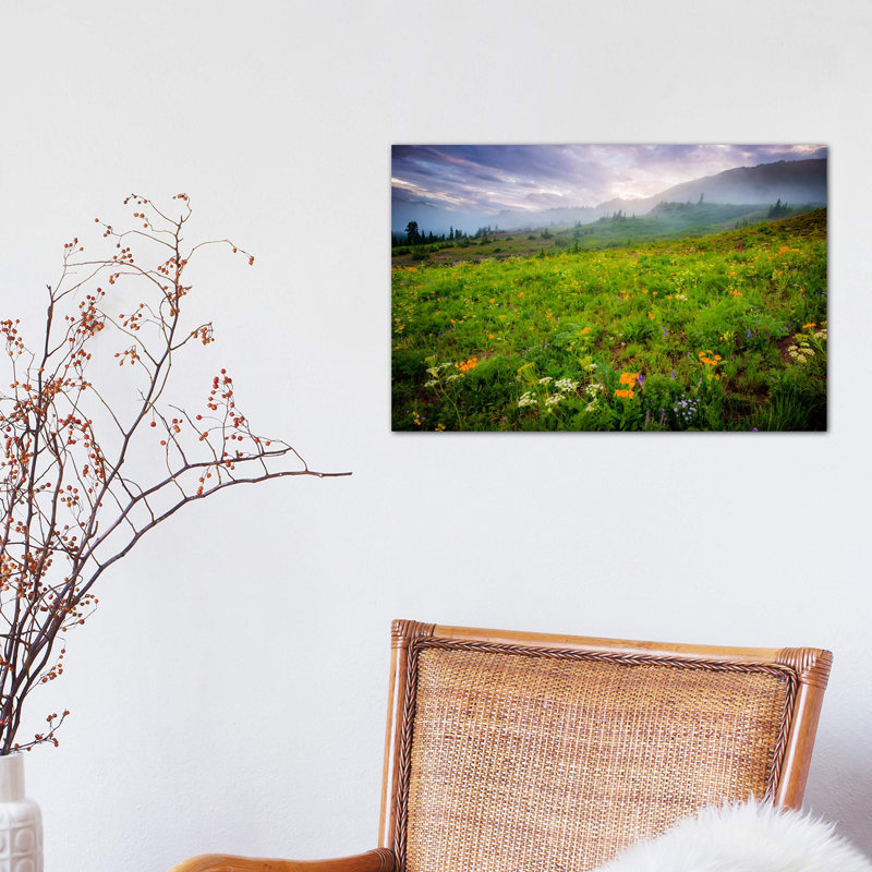 Colorado Flowers by Dan Ballard - Print on Canvas, 66.04 cm H x 45.72 cm W x 1.91 cm D, Wrapped Canvas