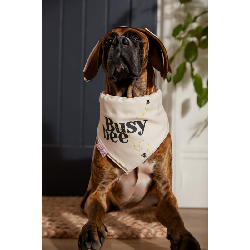 Busy Bee's Soft Harness Pet Coat XS