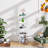5 Tier Acrylic Bookcases Storage Stand, Freestanding Corner Storage Shelve Display Shelf for Living Room-1499933456