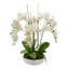 Orchid Arrangement in Round Fiberstone Pot
