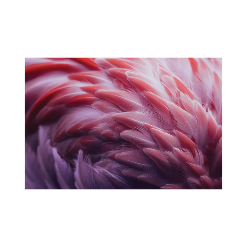 Flamingo 1 Piece Wrapped Canvas Wall Art, 20.32cm H x 30.48cm W x 1.91cm D