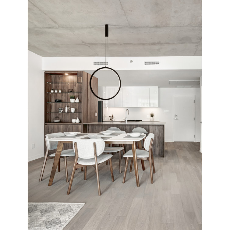 1 - Light Black LED Single Pendant