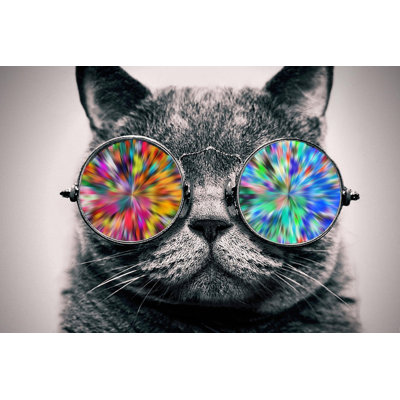 Papier peint gris chat avec lunettes de soleil Wallart
