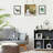 Rattan Style Wood Wall Shelf with Rope