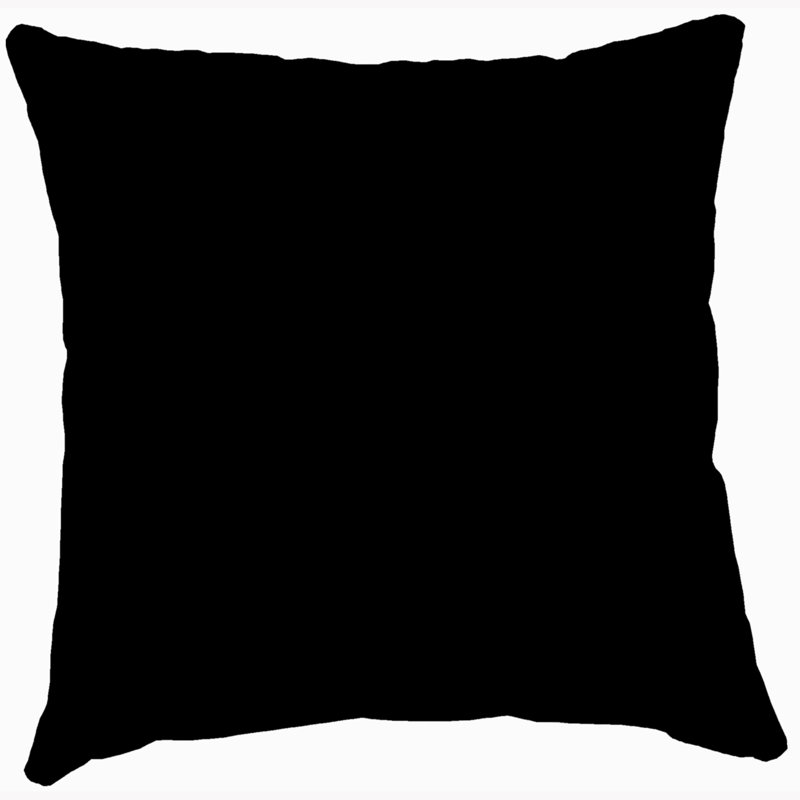 Sunbrella Outdoor Throw Pillow, Black