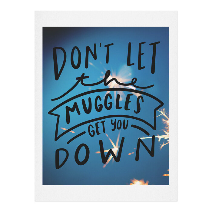 Don't Let the Muggles Get You Down