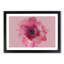 Layers of a Pink Gerbera in Abstract - Picture Frame Graphic Art Print-55777471-55777472