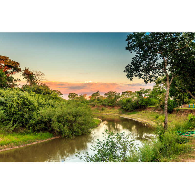Pantanal Wetlands, Brazil - Wrapped Canvas Print, 30cm H x 46cm W x 3.8cm D