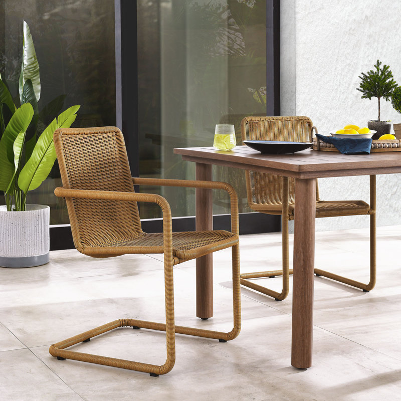 Ensemble de 2 chaises de salle à manger d'extérieur en osier Abacus, Naturel / naturel