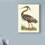 «Custom Purple Heron» par John Selby, reproduction sur toile-33522023