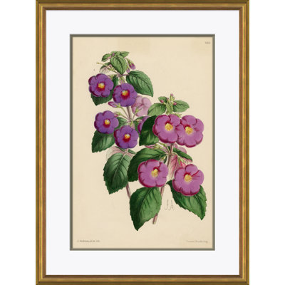 Curtis's Botanicals Giclee Print