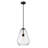 Placia 1 - Light Matte Black Single Pendant