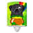 Black Pug
