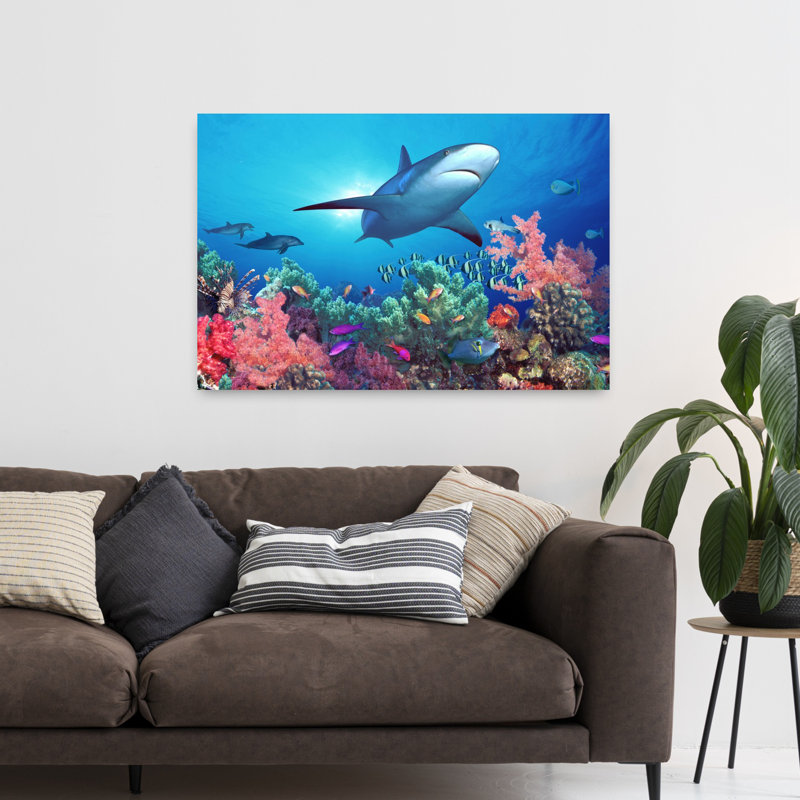 Low Angle View Of A Shark Swimming Underwater Indo-Pacific Ocean Abstract Contemporary Shark Landscape Nature Art