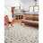 Mischa Abstract and Geometric Indoor Rug-1947901053