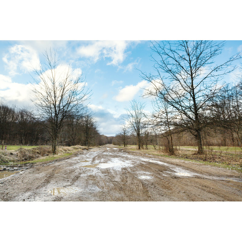 Dirt Road In Forest by VvoeVale - Wrapped Canvas Print, 30cm H x 46cm W