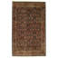 Lenell Cotton Oriental Area Rug in Navy Blue