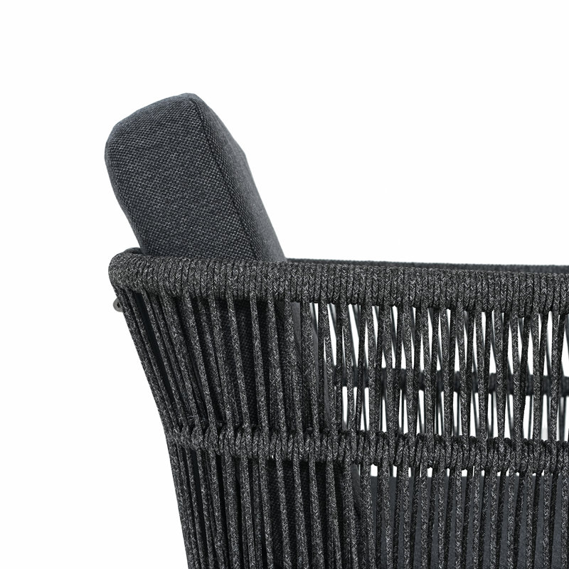 Ensemble de 2 fauteuils de salle à manger avec coussins en aluminium, Gris, Gris