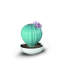 Ferocactus Cactus Gardens of Valencia Scent-101945215