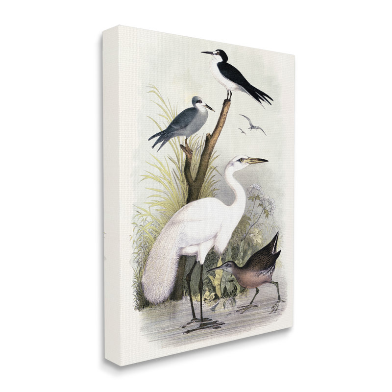 Oiseaux de grue variés rassemblés au bord de la rivière par Piddi - Peinture, H 48 po x l 36 po x P 1,5 po, Toile tendue
