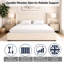 Premium Plush Bed Frame – Elegant Padded Bed with 48” Statement Headboard, Solid Wooden Bed – Contemporary Designer Finish-297508564-297265898