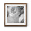 Renoncule foncé IV - cadre photo-1179620642-1179599684-1179599675