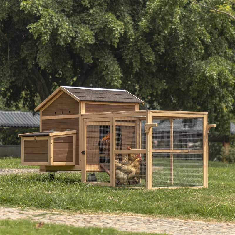 Cage à poulet avec rampe Darek