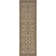Concetta Indoor / Outdoor Rug