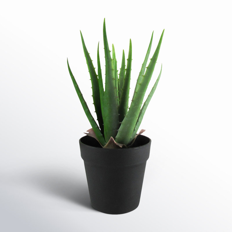 Plante grasse artificielle aloès en pot, H 13,5 po x l 9 po x P 9 po