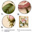 «Pink Rose on Retro Parchment IV», reproduction sur toile-87369677-87369682