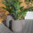 Megaira Concrete Pot Planter