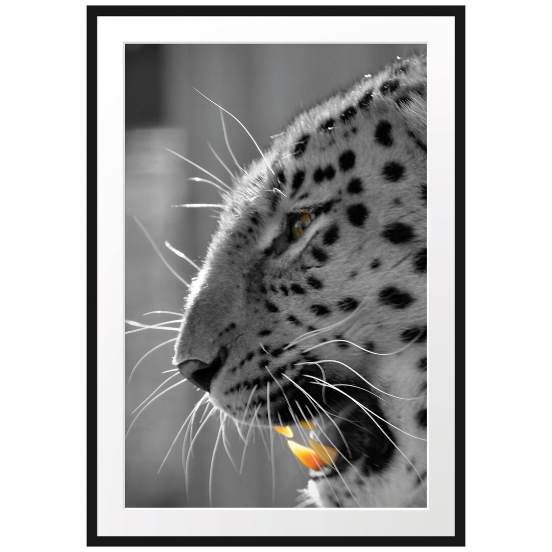 Gerahmtes Poster Brüllender Leopard