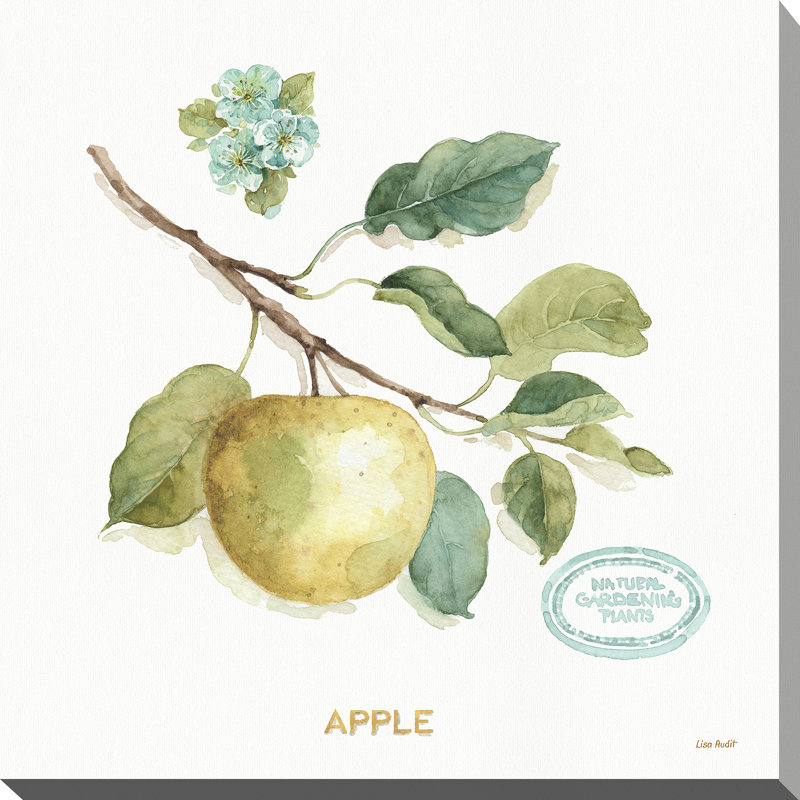 «My Greenhouse Fruit IV», reproduction de peinture à l'aquarelle, H 28 po x l 28 po x P 1,5 po, Toile tendue