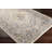 Flatiron Oriental Indoor Rug-1399294011