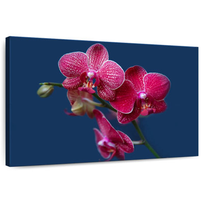 Fleur d'orchidée Harnek Magenta