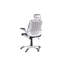 Mystic Mesh Executive Chair with Headrest
