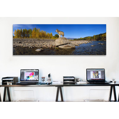 Loup panoramique debout sur un rocher au bord de la rivière, parc national du Glacier des États-Unis, Montana, reproduction de photo sur toile tendue