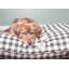 Lit pour chien Buffalo-56468088-56468084