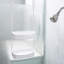 Hawley Shower Caddy-1830254699