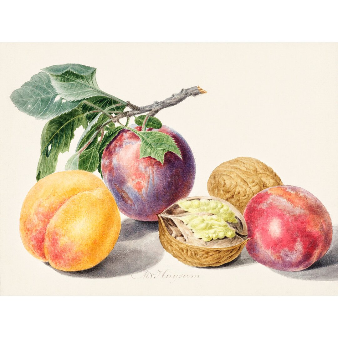 Leinwandbild Fruits I von Michiel Van Huysum